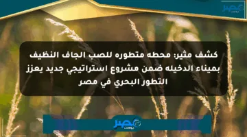 كشف مثير: محطة متطورة للصب الجاف النظيف بميناء الدخيلة ضمن مشروع استراتيجي جديد يعزز التطور البحري في مصر